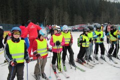 ZIMA 2014
